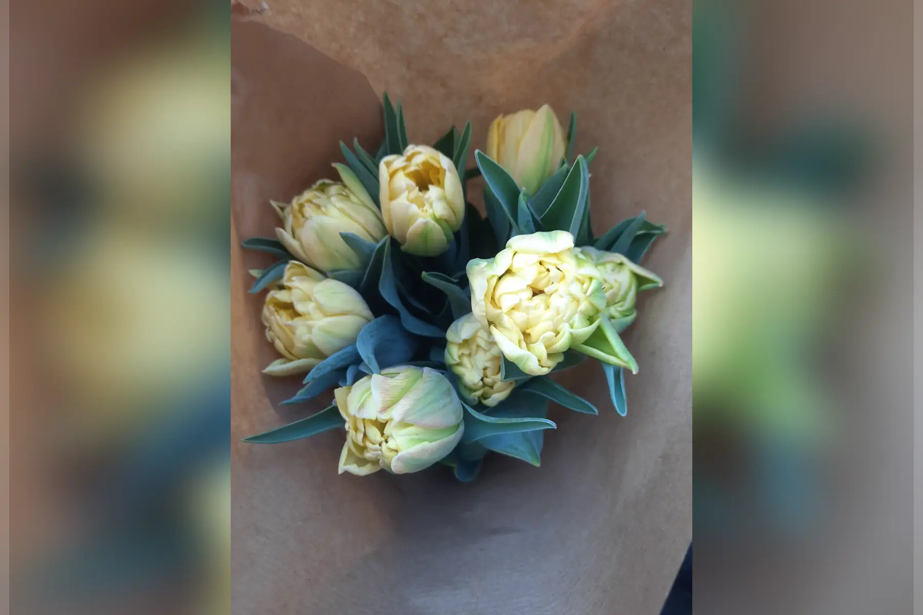 MADOUCE - Ferme florale