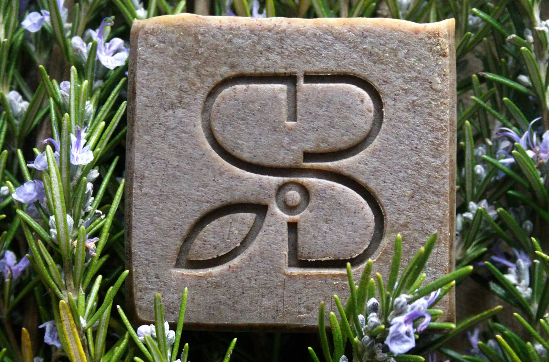 Pur Romarin - Savon surgras purifiant