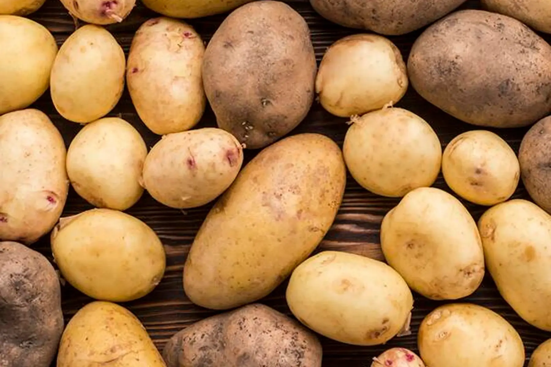Pomme de terre primeur