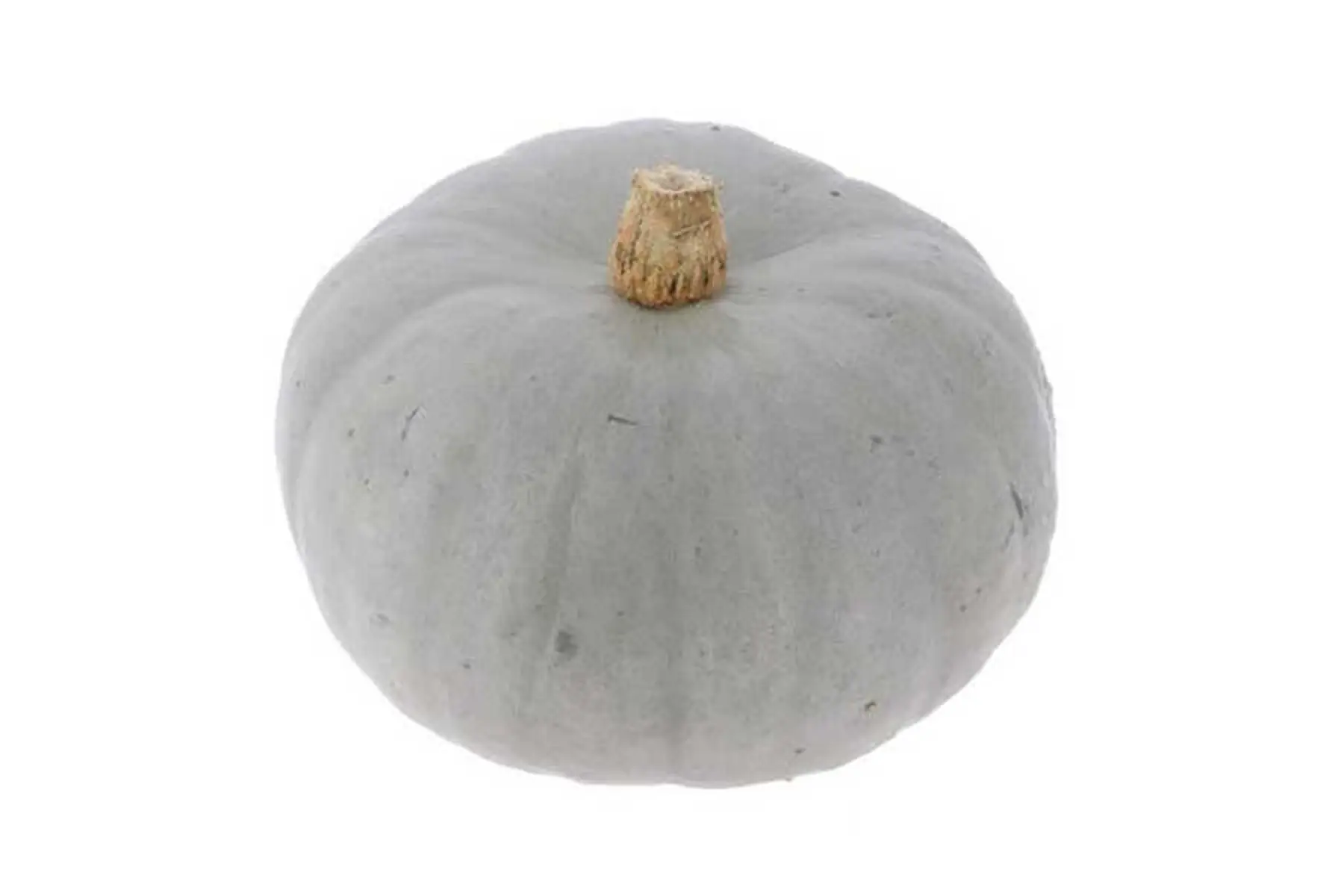 Courge Bleu de Hongrie (moyenne: 3-4kg)