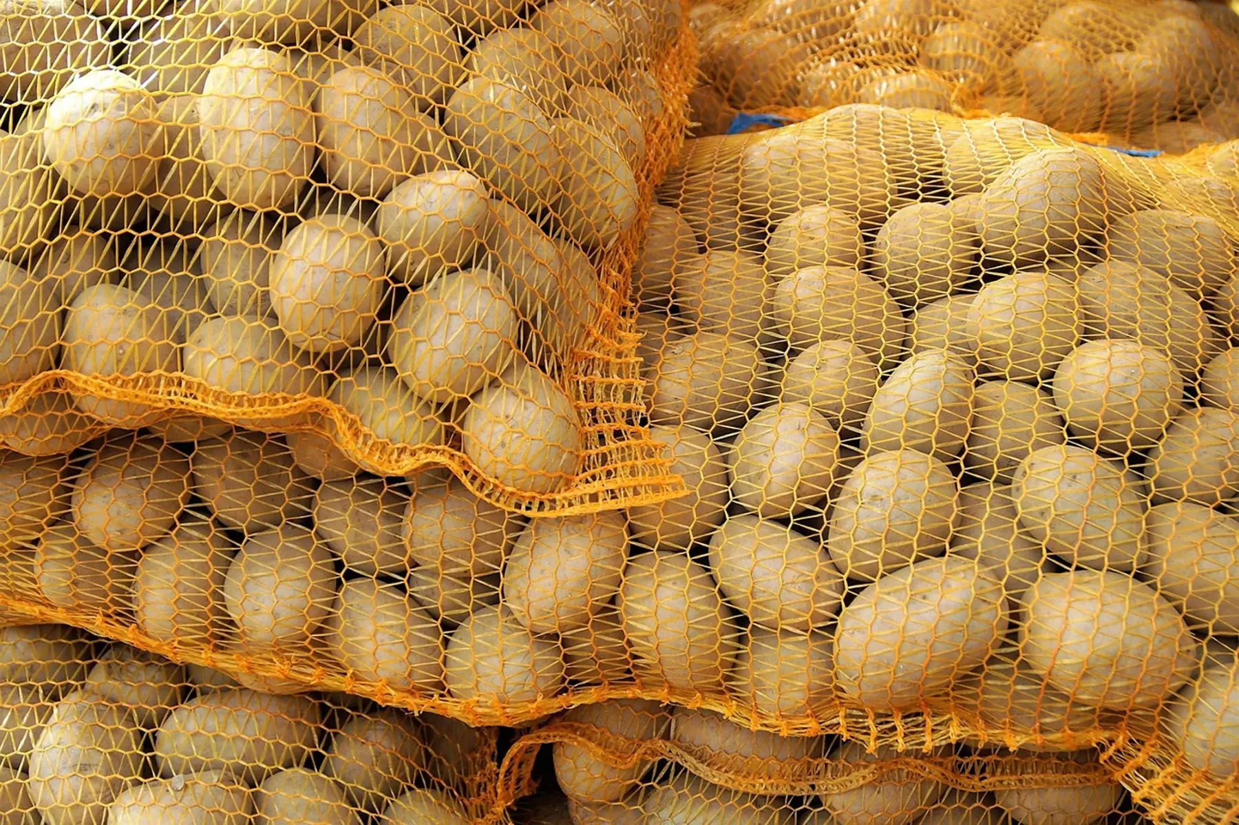 Sac de pomme de terre Maiwen (chair tendre, 10kg)