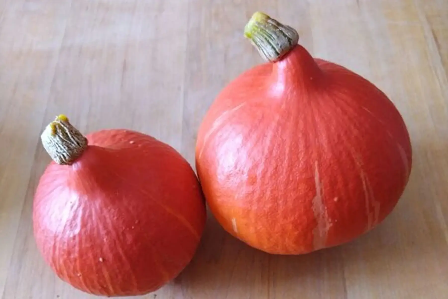 Courge Potimarron (Grosse: 2,5-3kg)