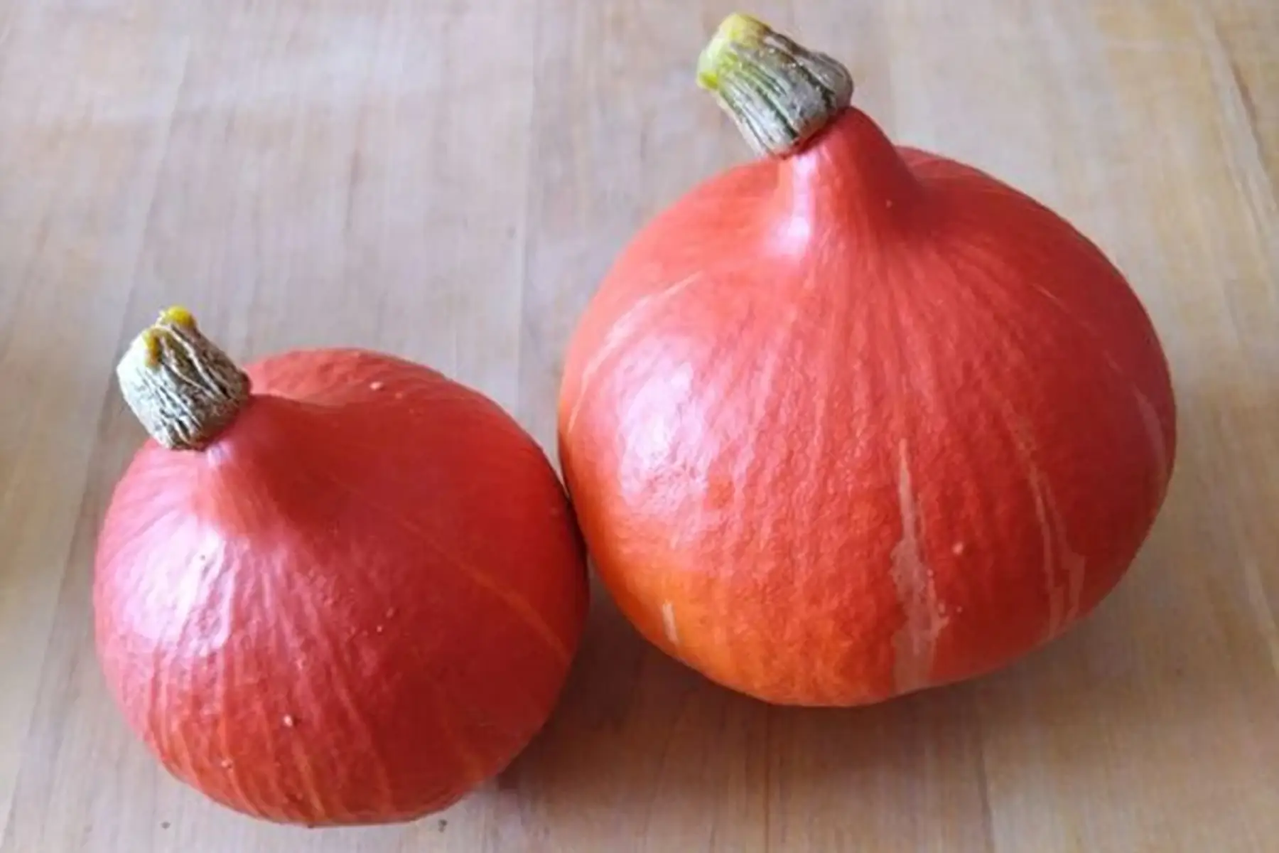 Courge Potimarron (Moyenne: 1,5-2kg)