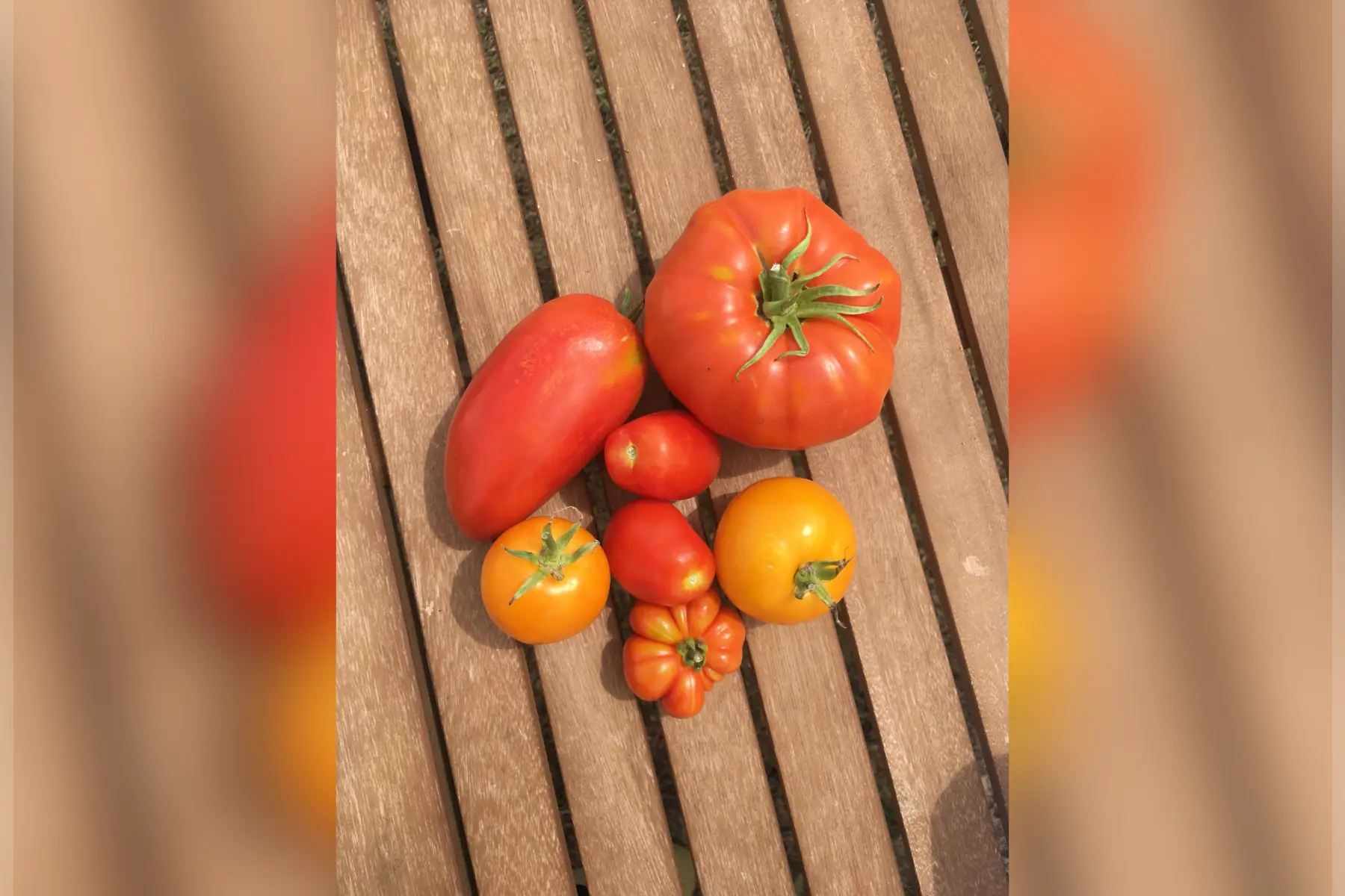 tomate salade en mélange