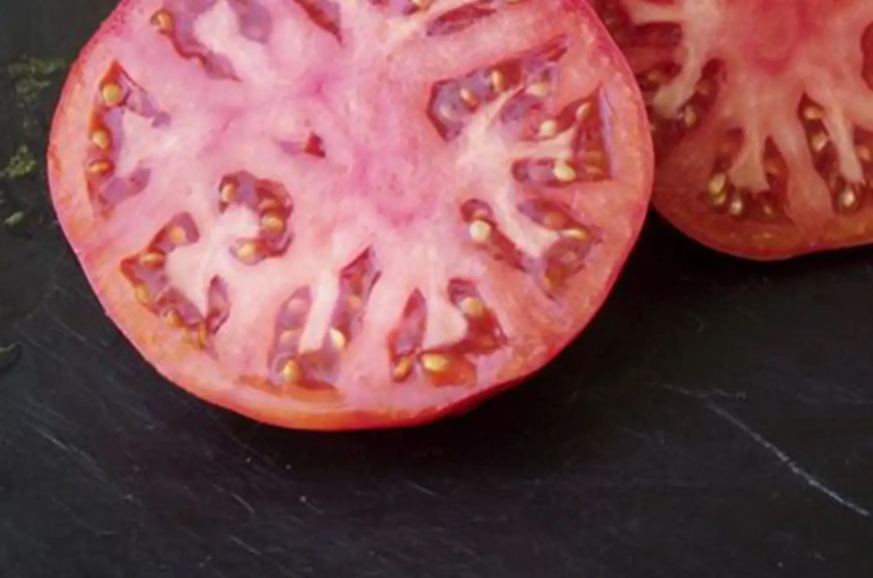 Plant Tomate Brandywine (B)