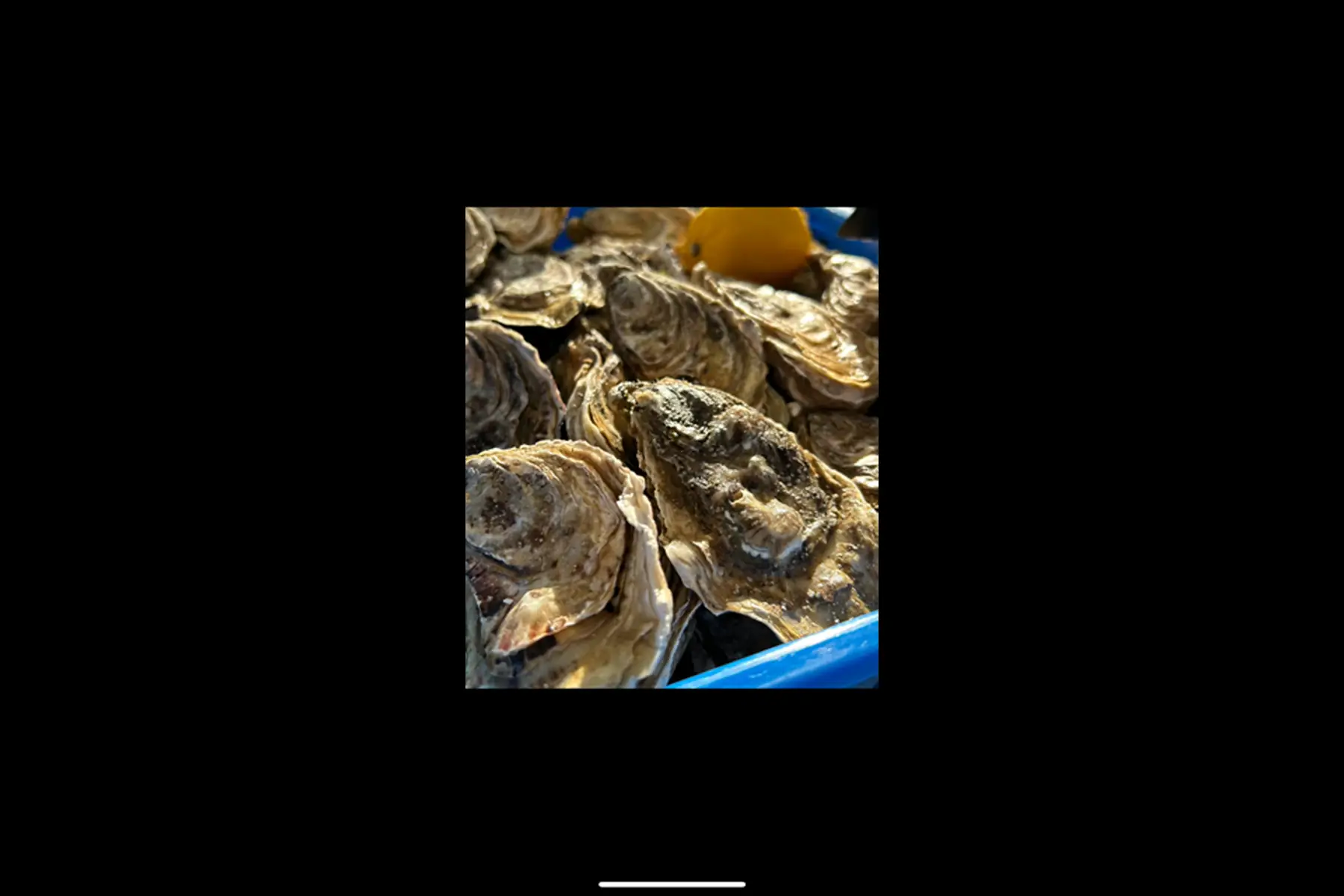 huitres bouzigues n°2