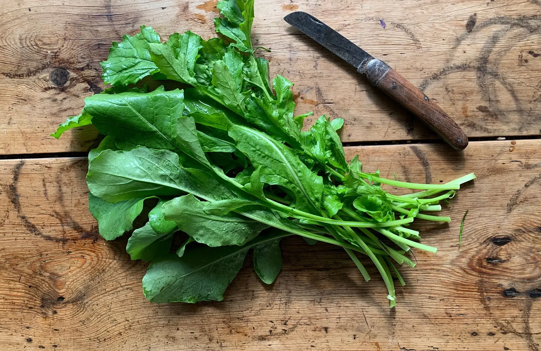 Roquette