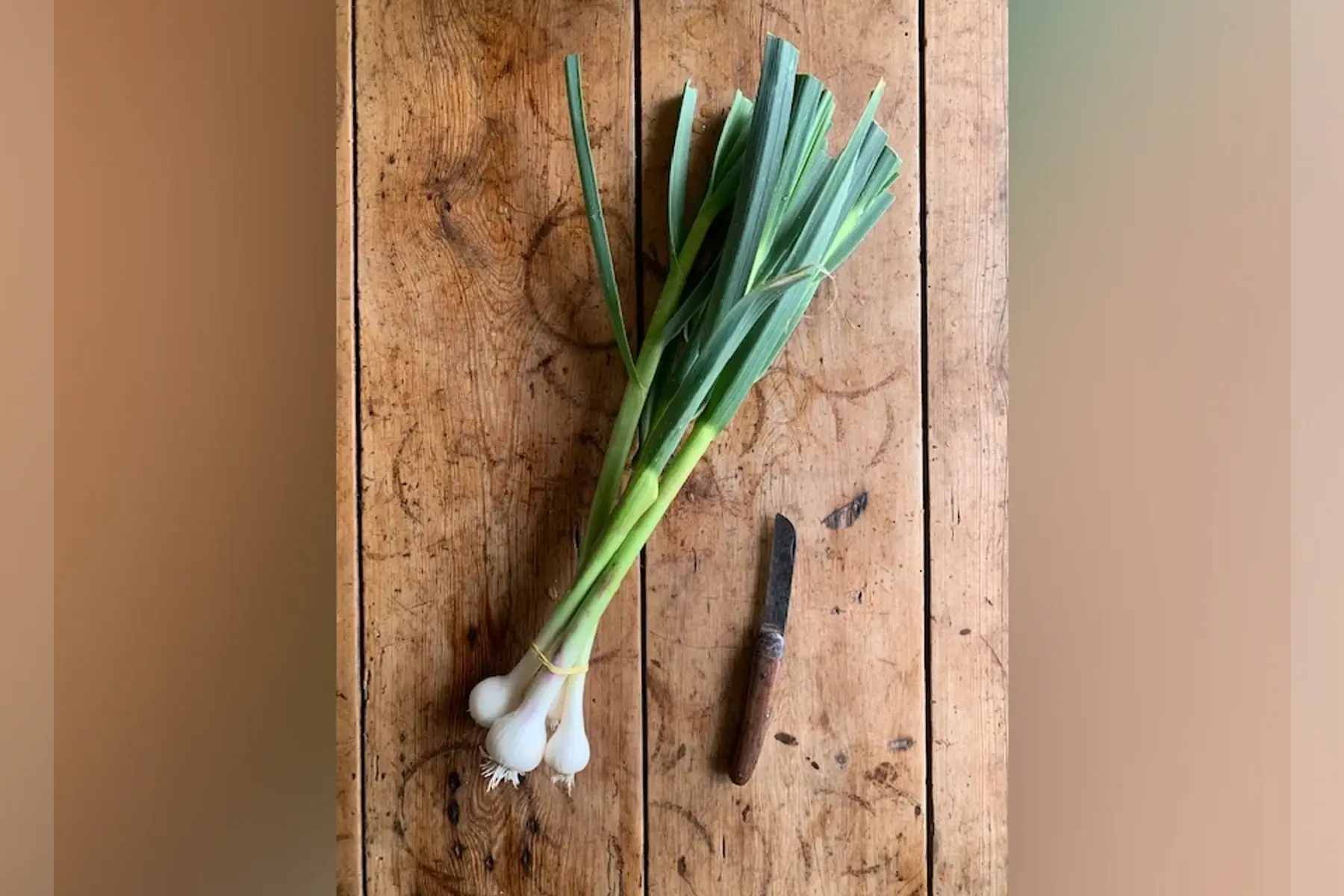 Ail nouveau
