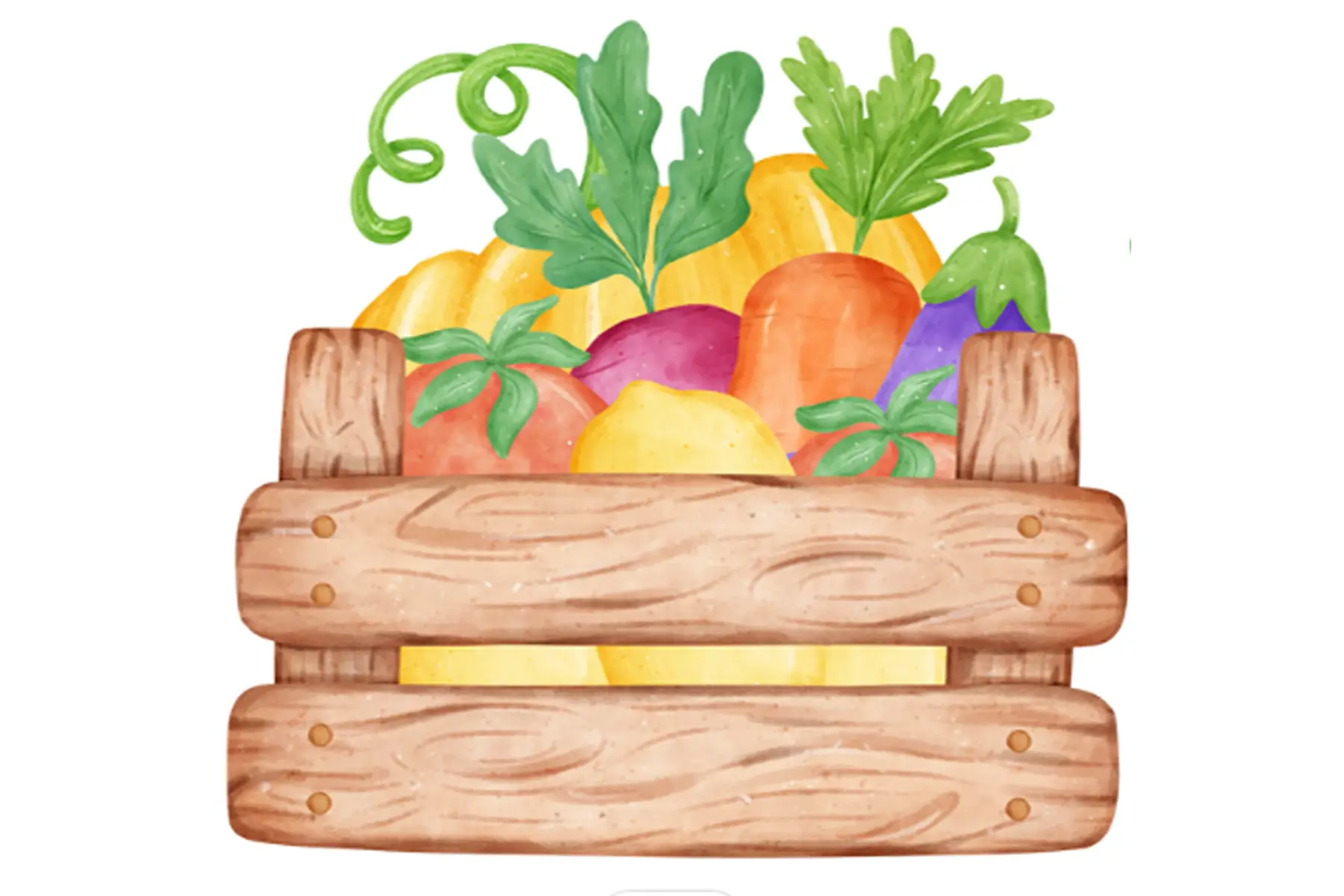 - cagette - moyen format