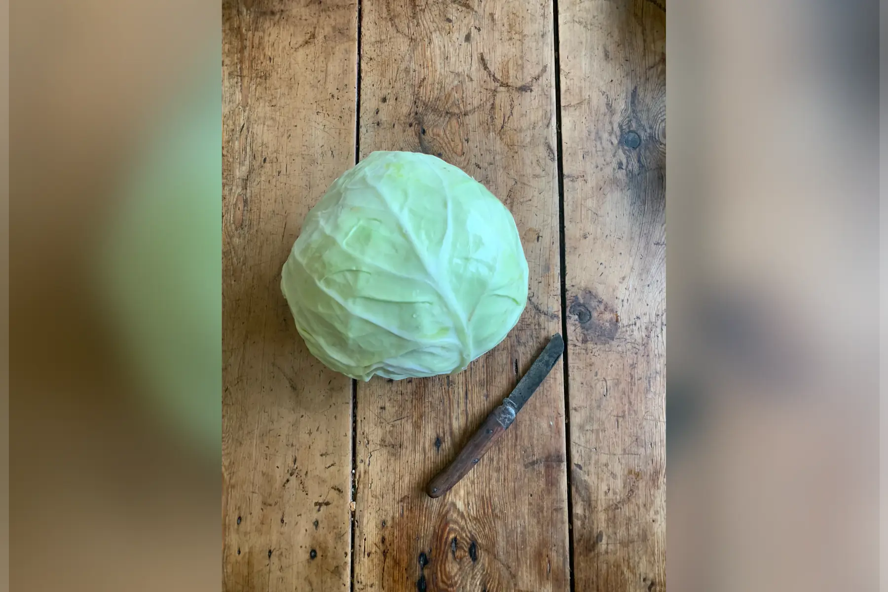 Chou blanc (1kg mini)