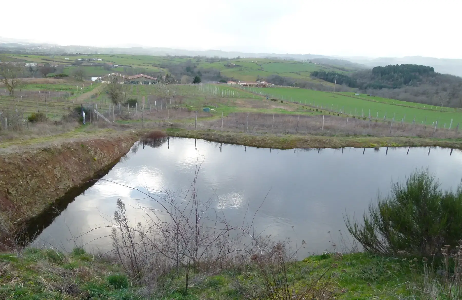 les carres jardin