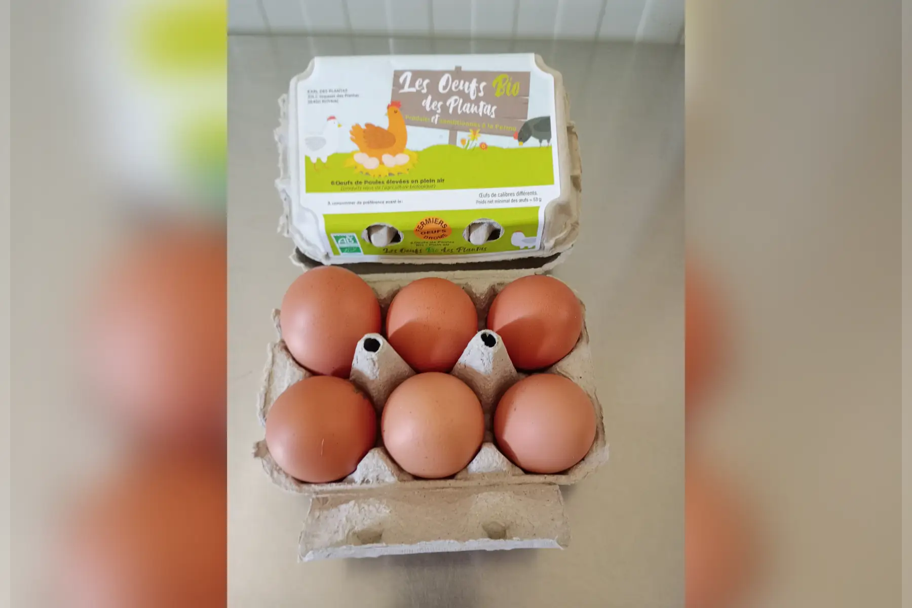 oeufs bio fermier plein air