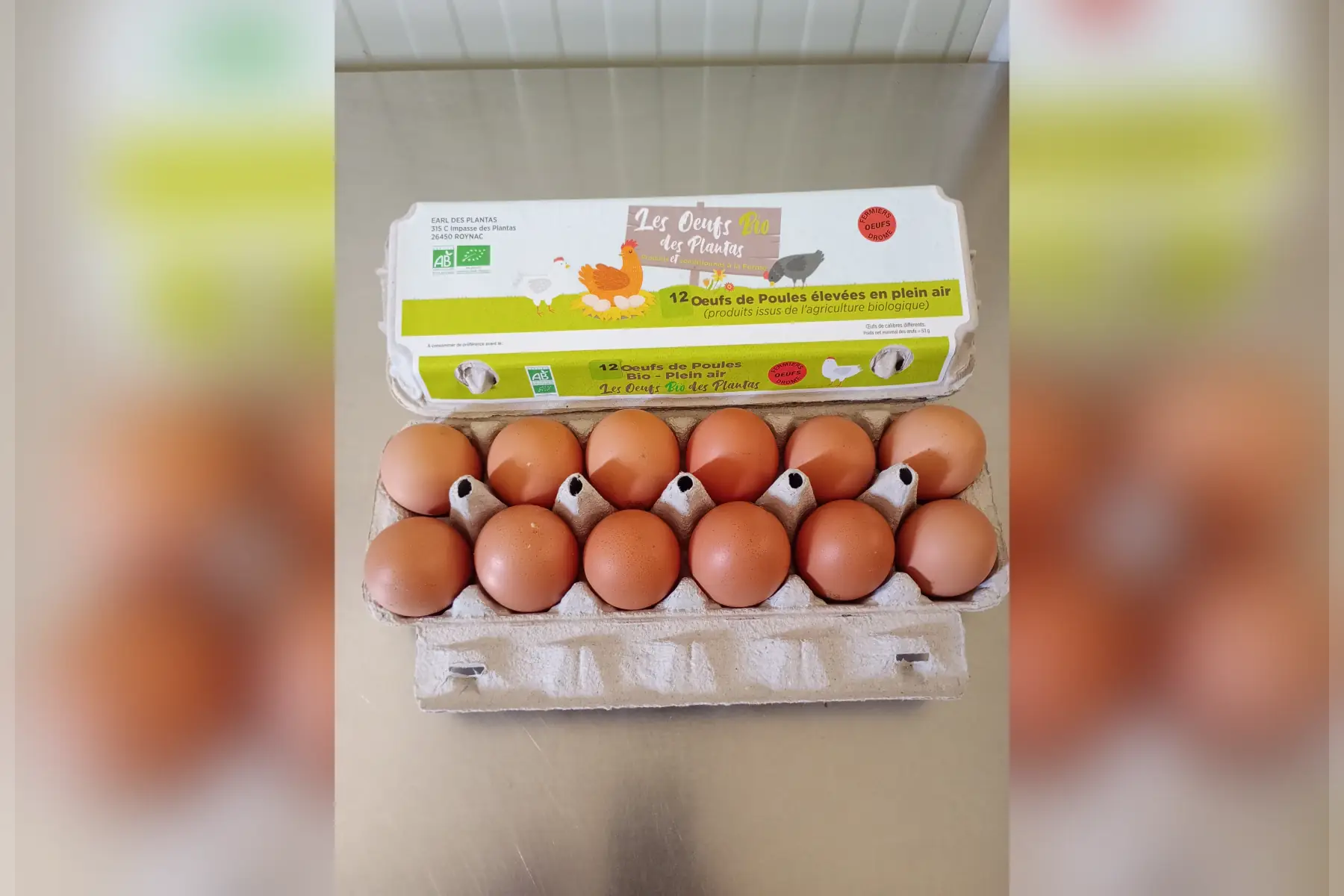 oeufs bio fermier plein air