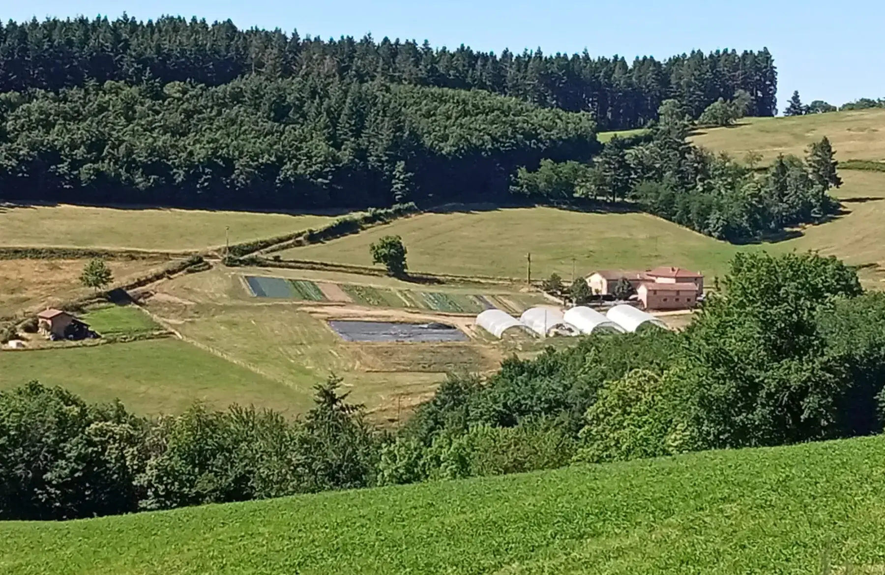 Fanny Les Jardins légumes bio