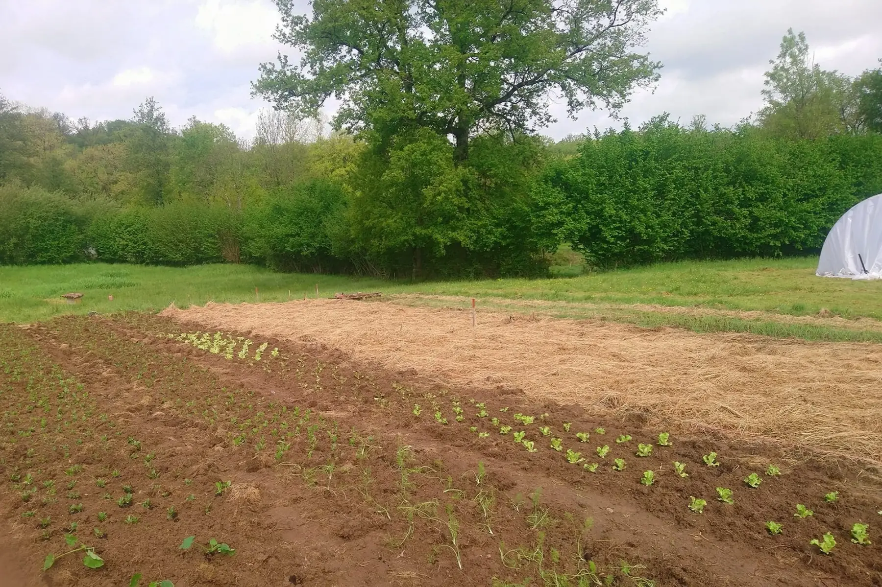 la ferme de l'umarell
