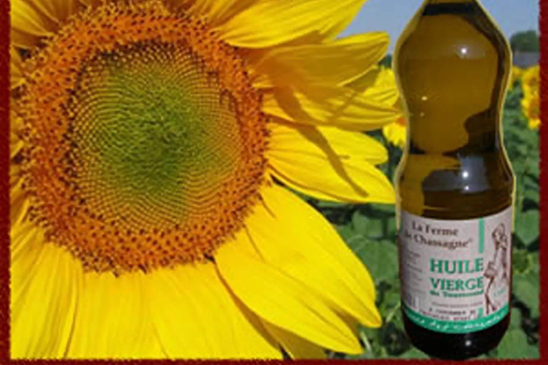 huile de tournesol bio