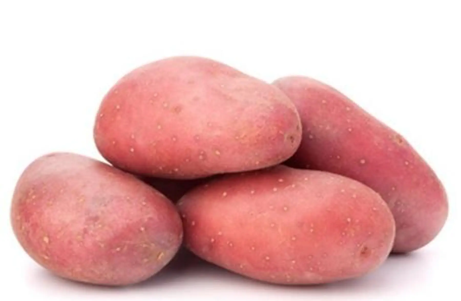 Pomme de terre Chérie