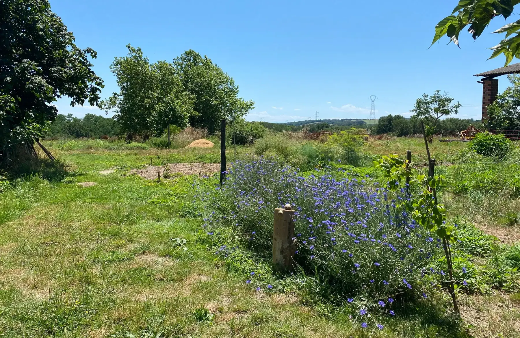 Ferme du Trait Fachet