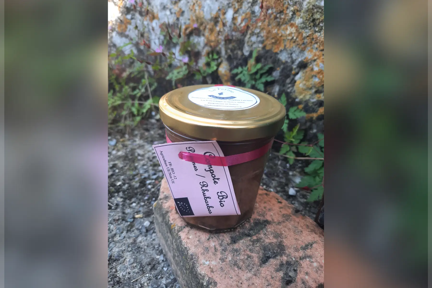 compote pomme-rhubarbe