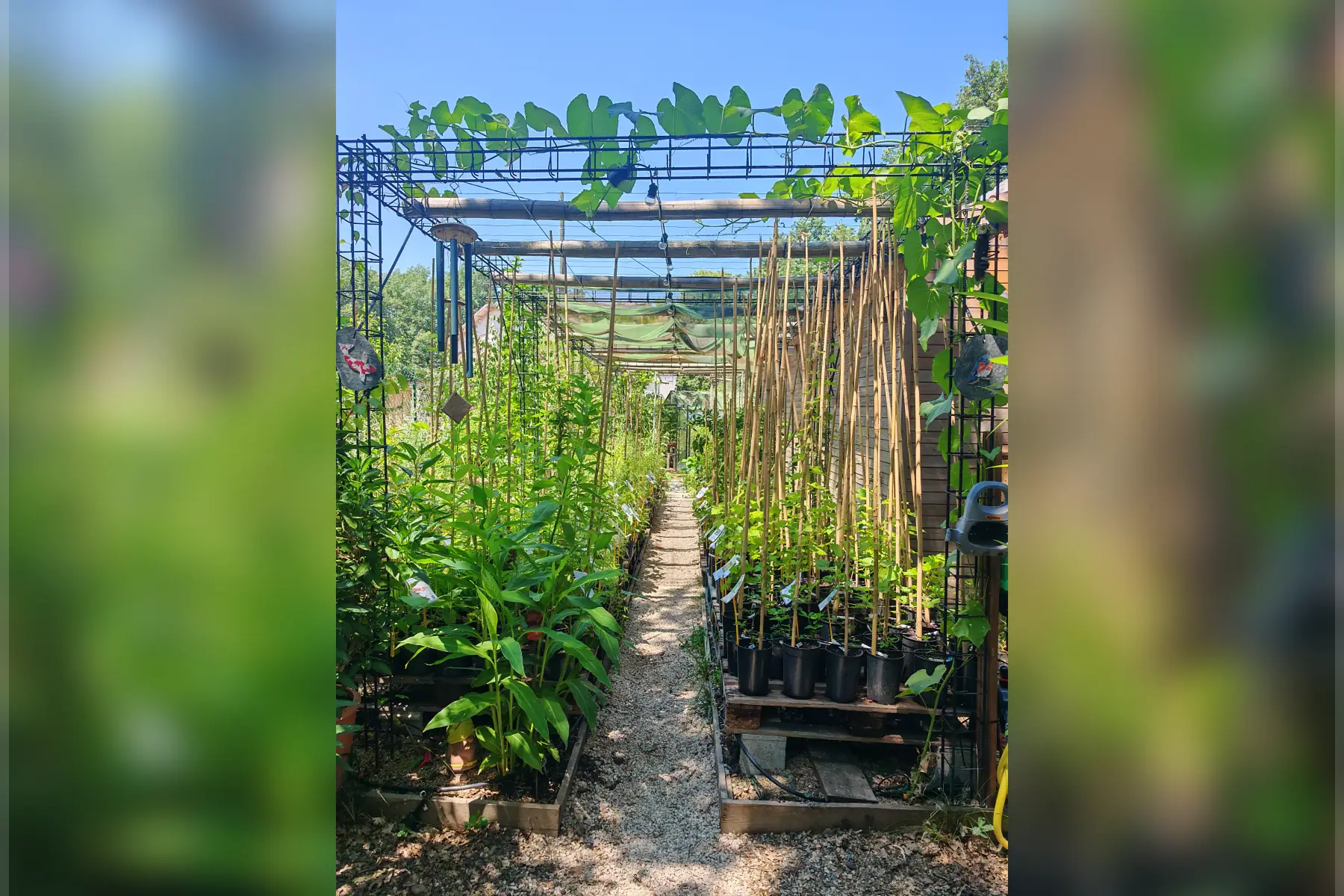 Le Jardin Gourmand