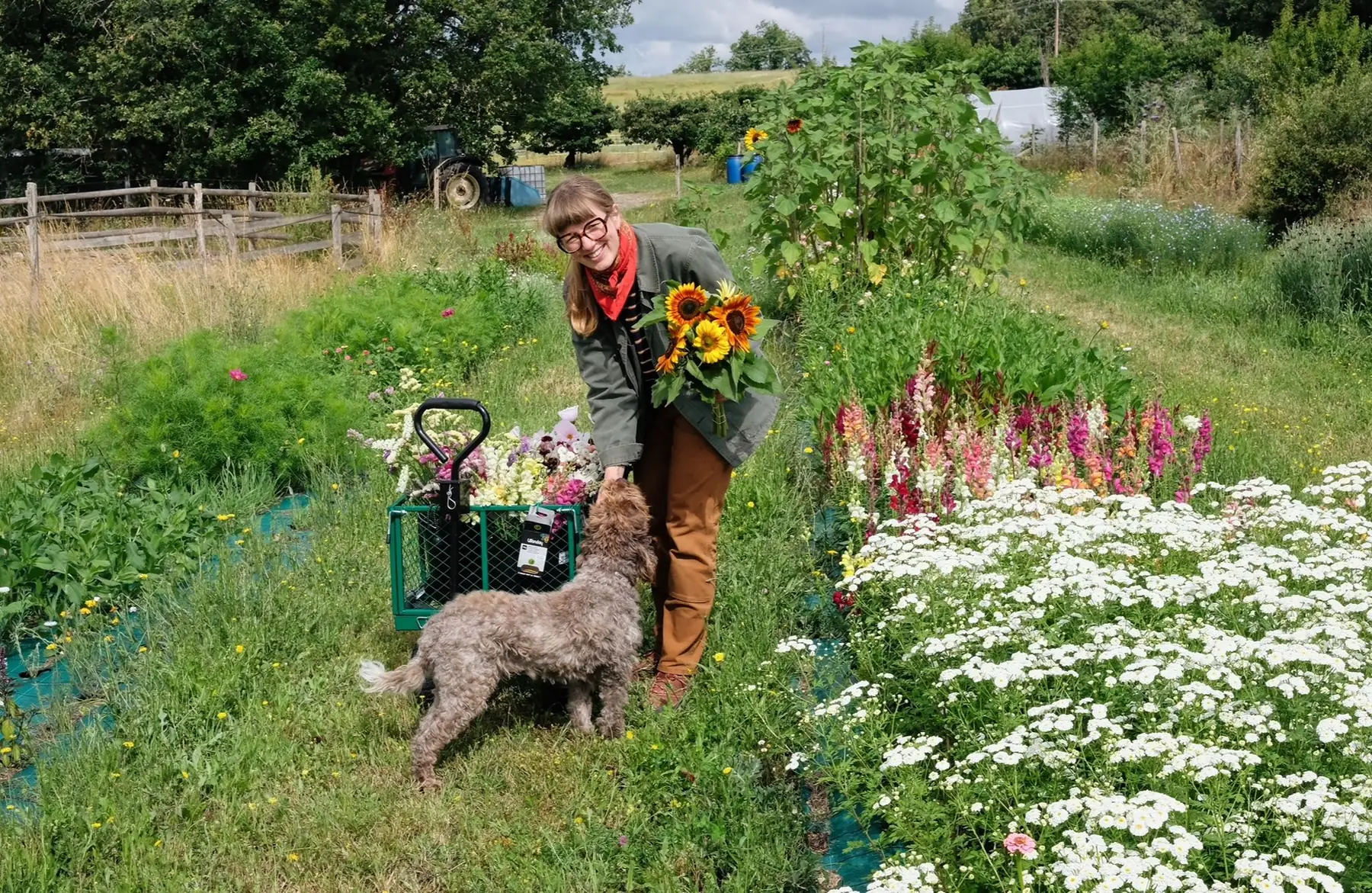 Les Fleurs du Dragon (Rafaële Rohn)