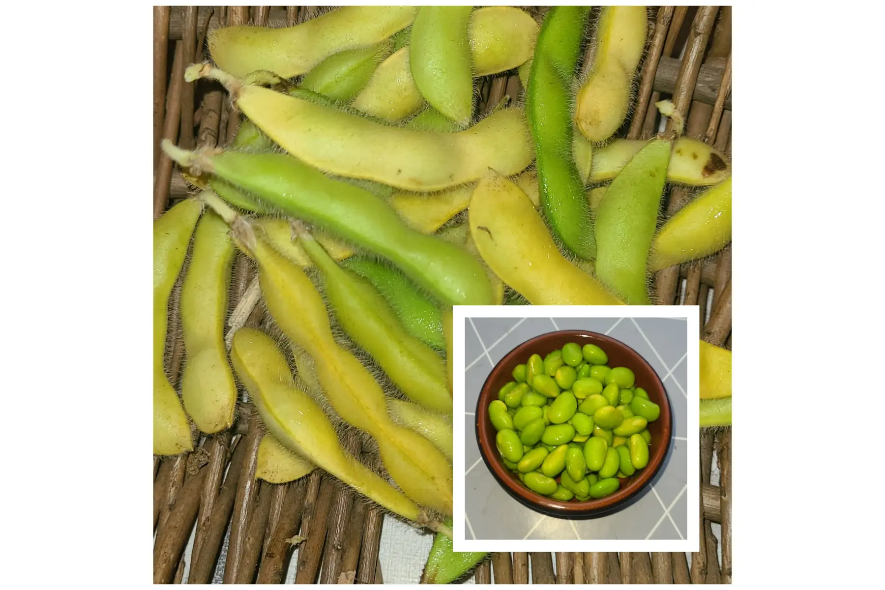 Edamamé ( Fève de soja à écosser et à cuire)