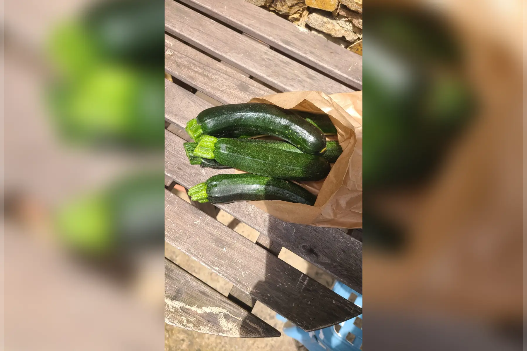 courgettes vertes