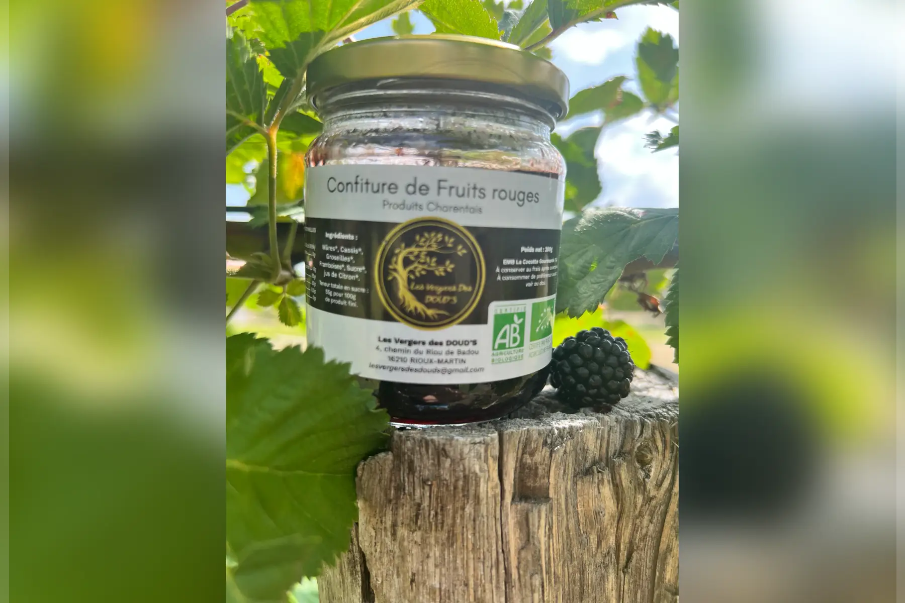 Confiture de fruits rouges