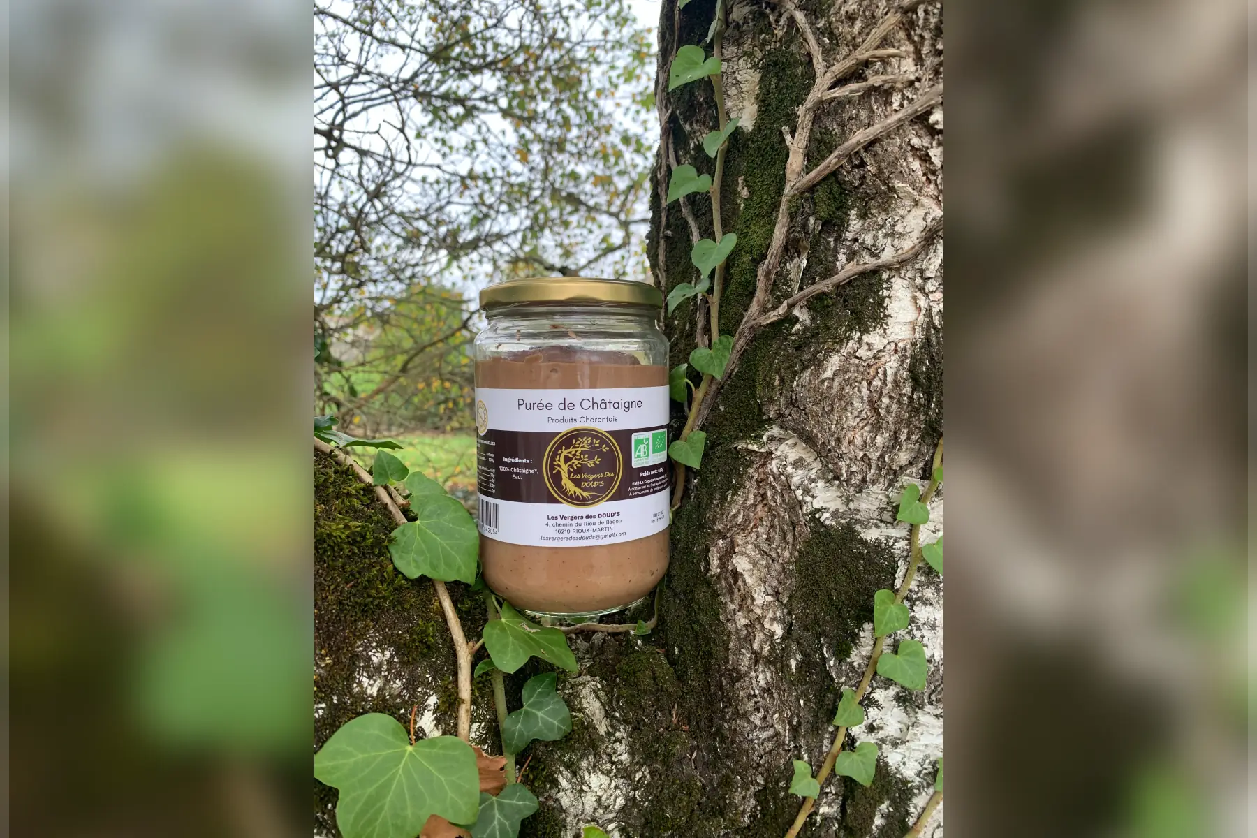 Purée de châtaigne bio