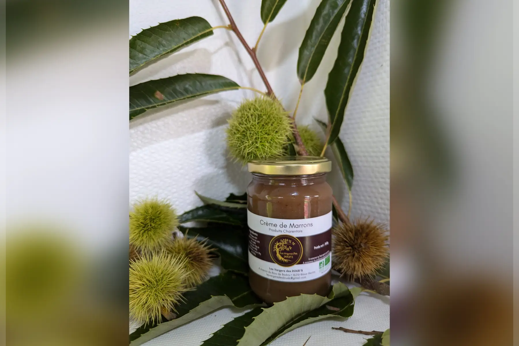 crème de Marrons à la vanille BIO