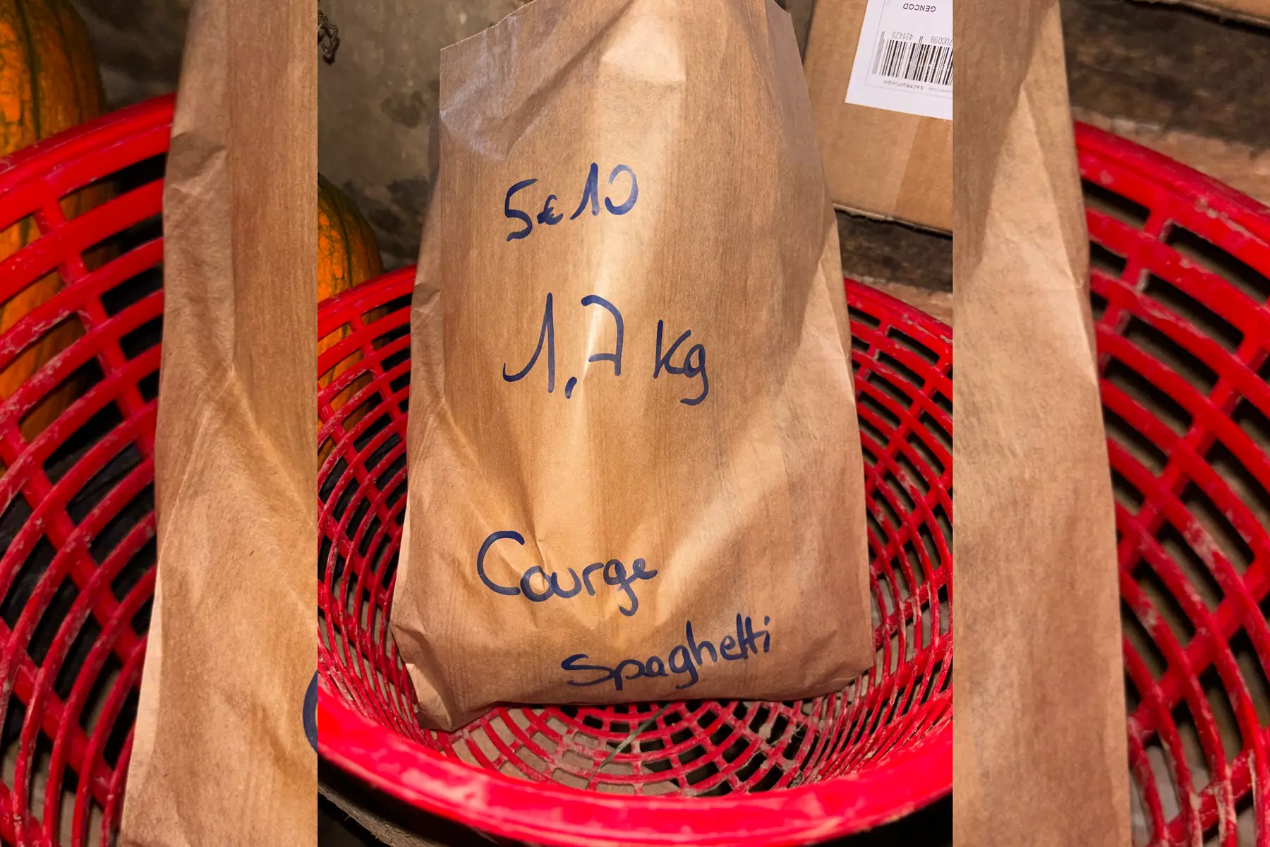 Courge spaghetti 1,7kg