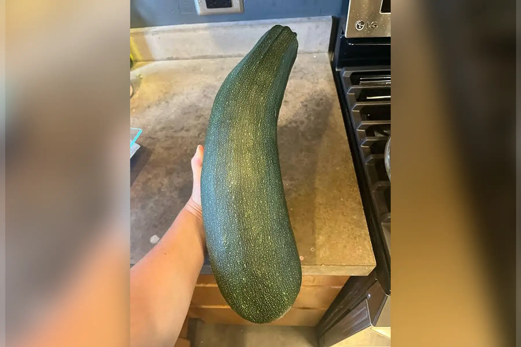 Courgettes Gros Calibre