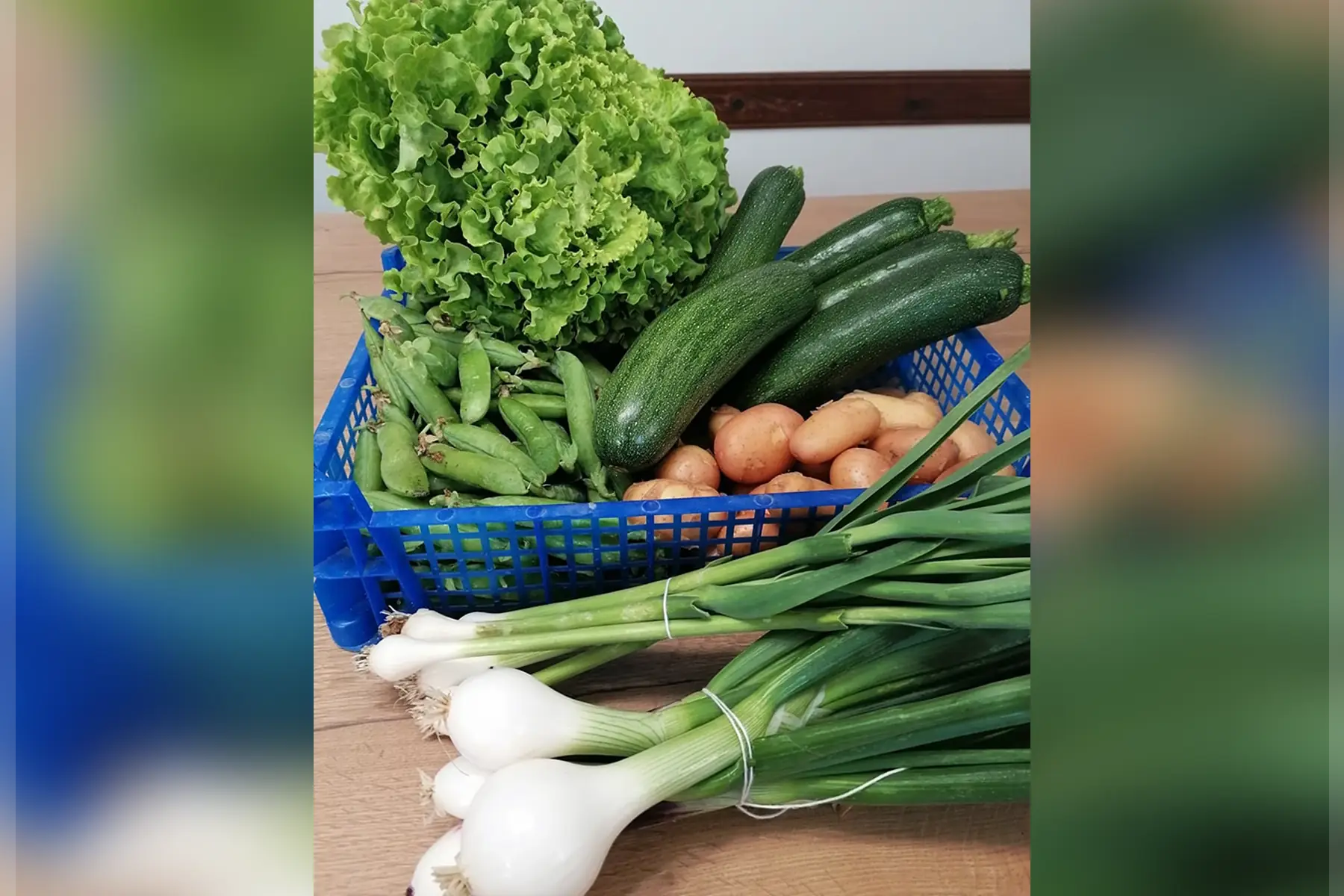 Petit panier semaine