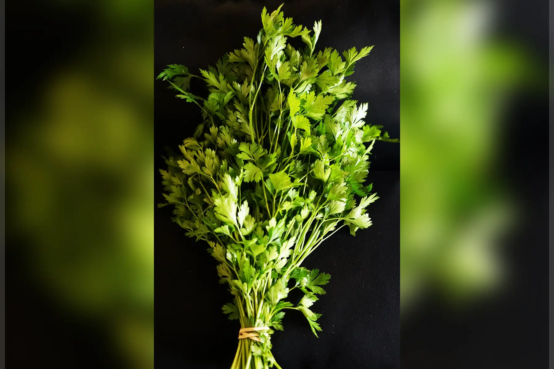 la ferme de maubreuil