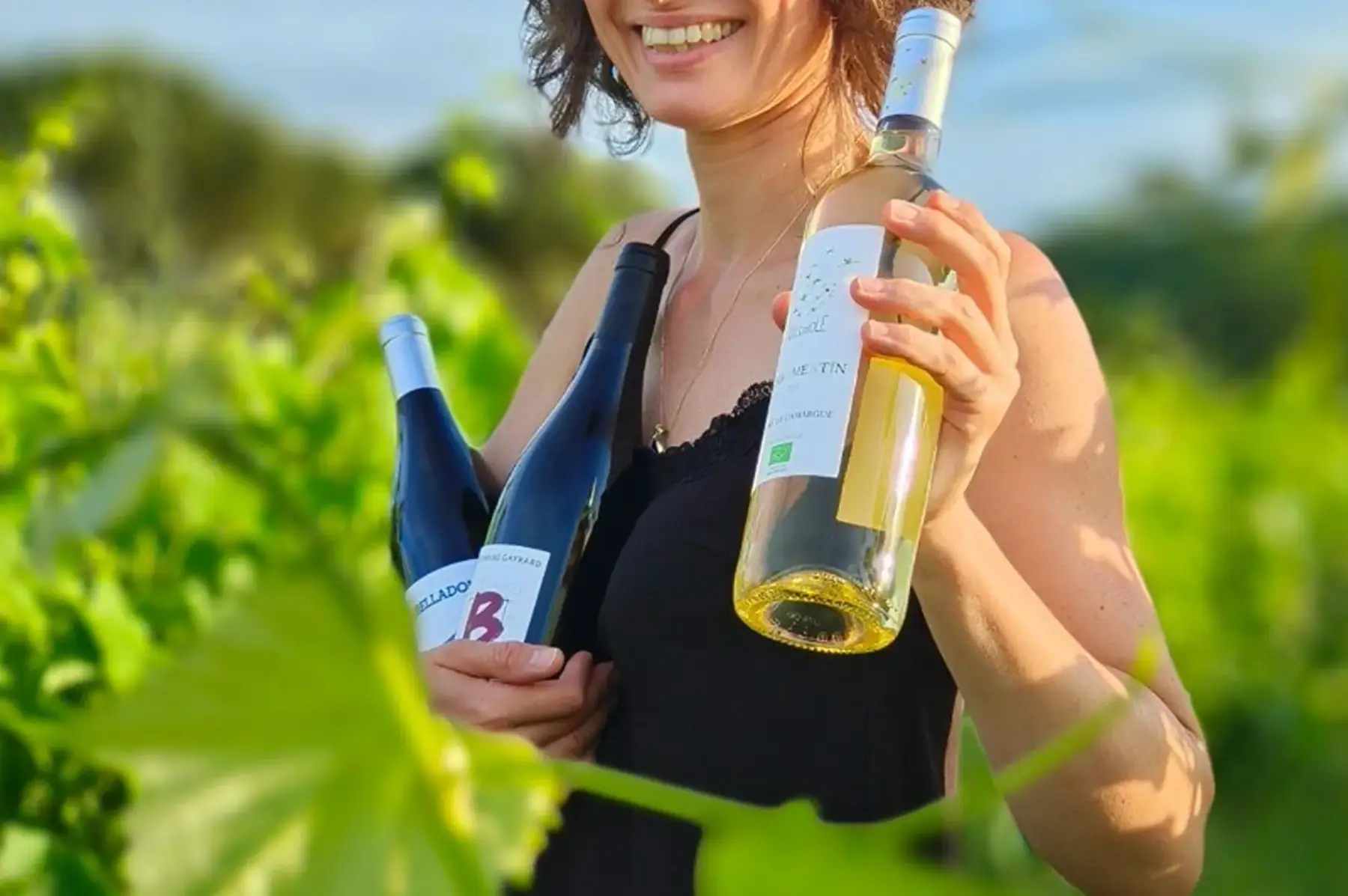 Un Petit Gout de ReVINSy