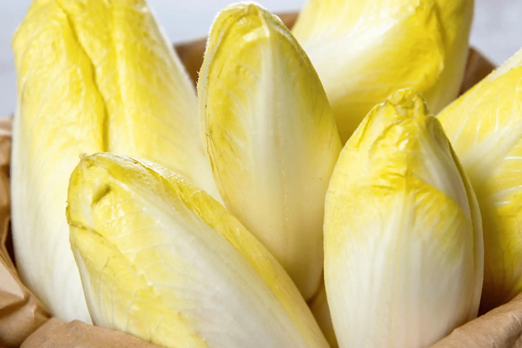 Endive