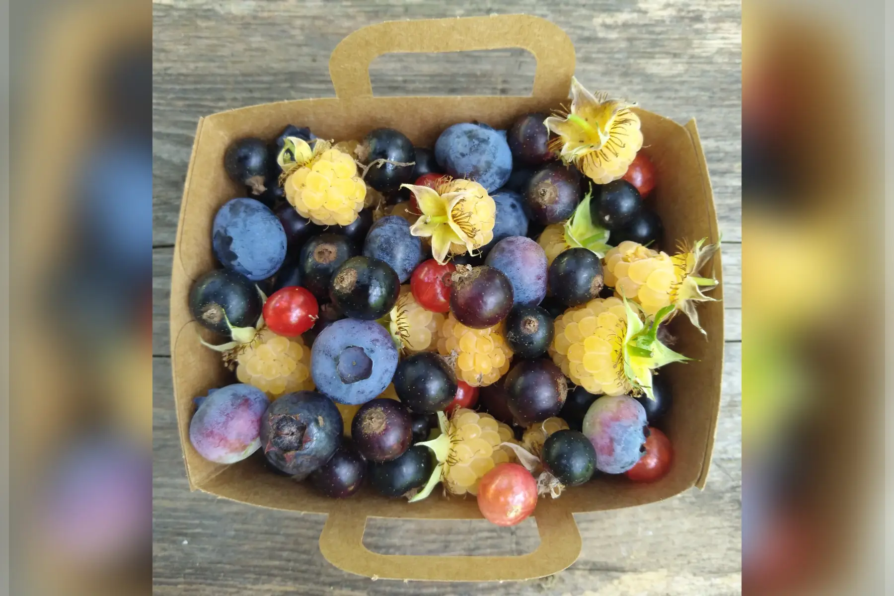 Barquette mélange fruits rouges surprise