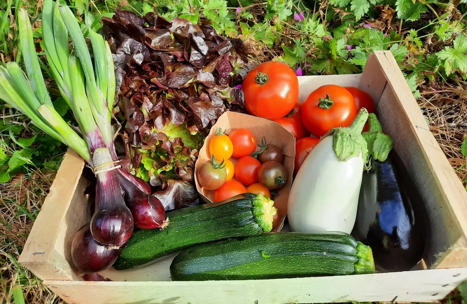 ferme de l'allee couverte