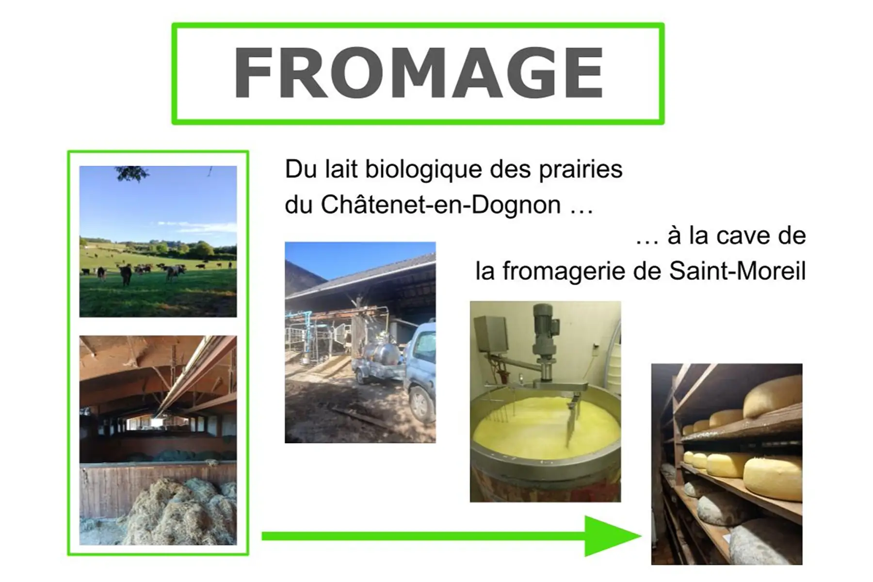fromagerie de saint moreil