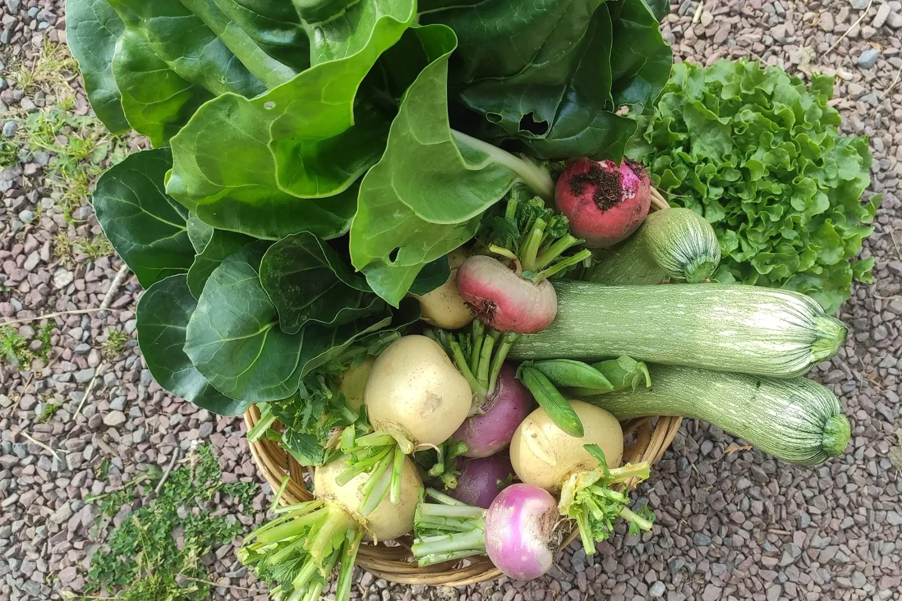 Panier de légumes bios "Essentiels"