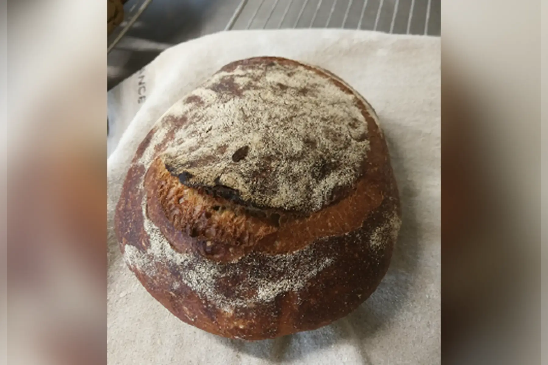 Pain Campagne Bio au Levain - 1kg