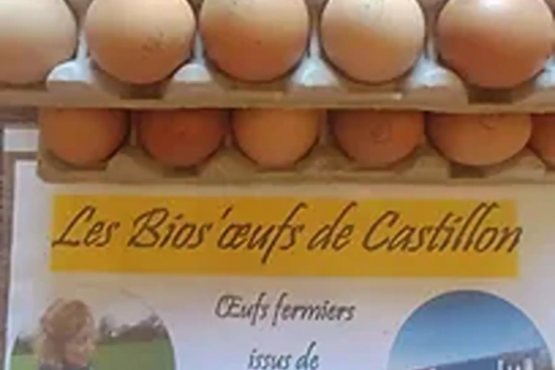 Boite de 6 oeufs bios