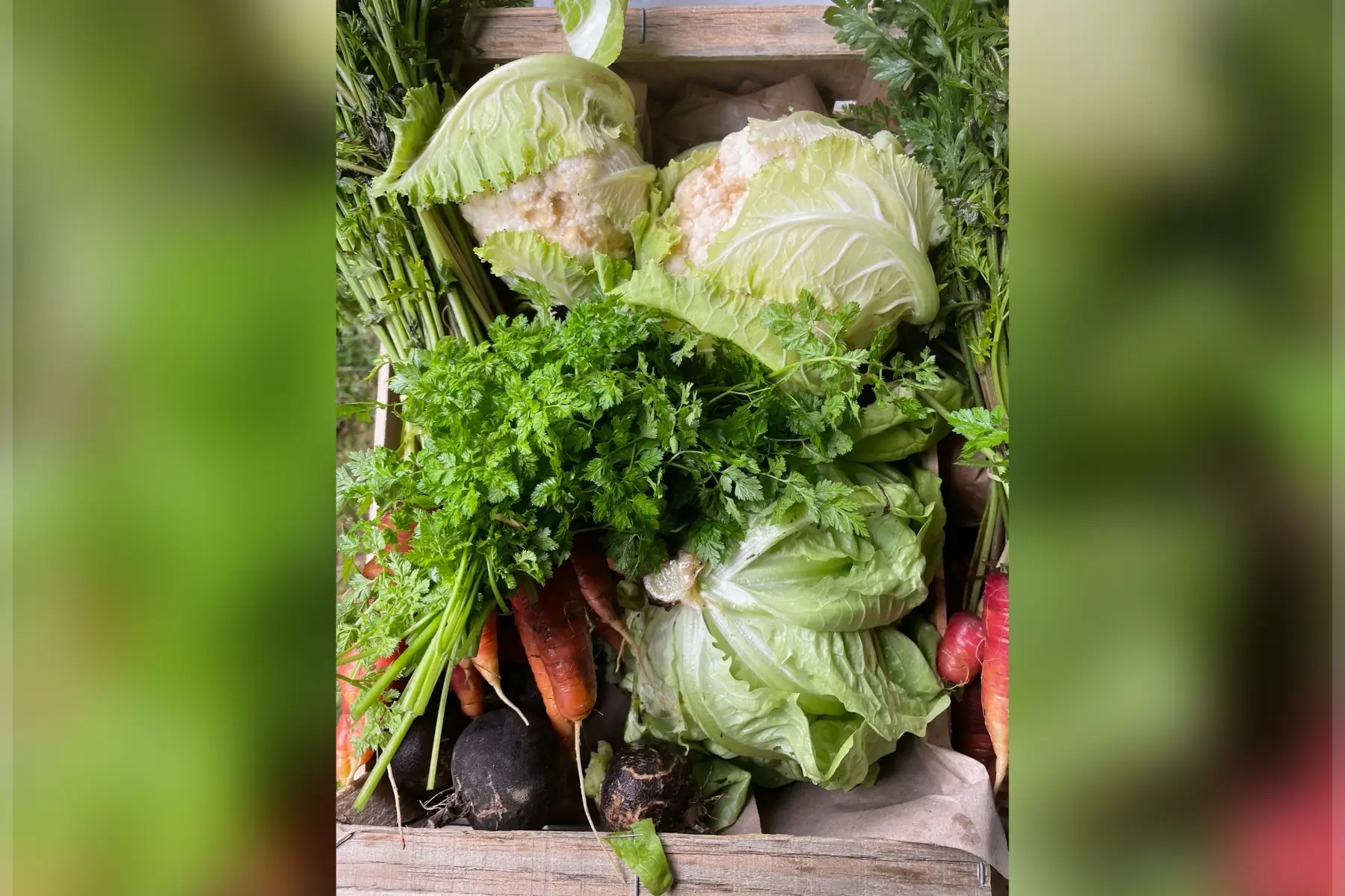 Panier de légumes bios "Suprise" 3,5kg mini