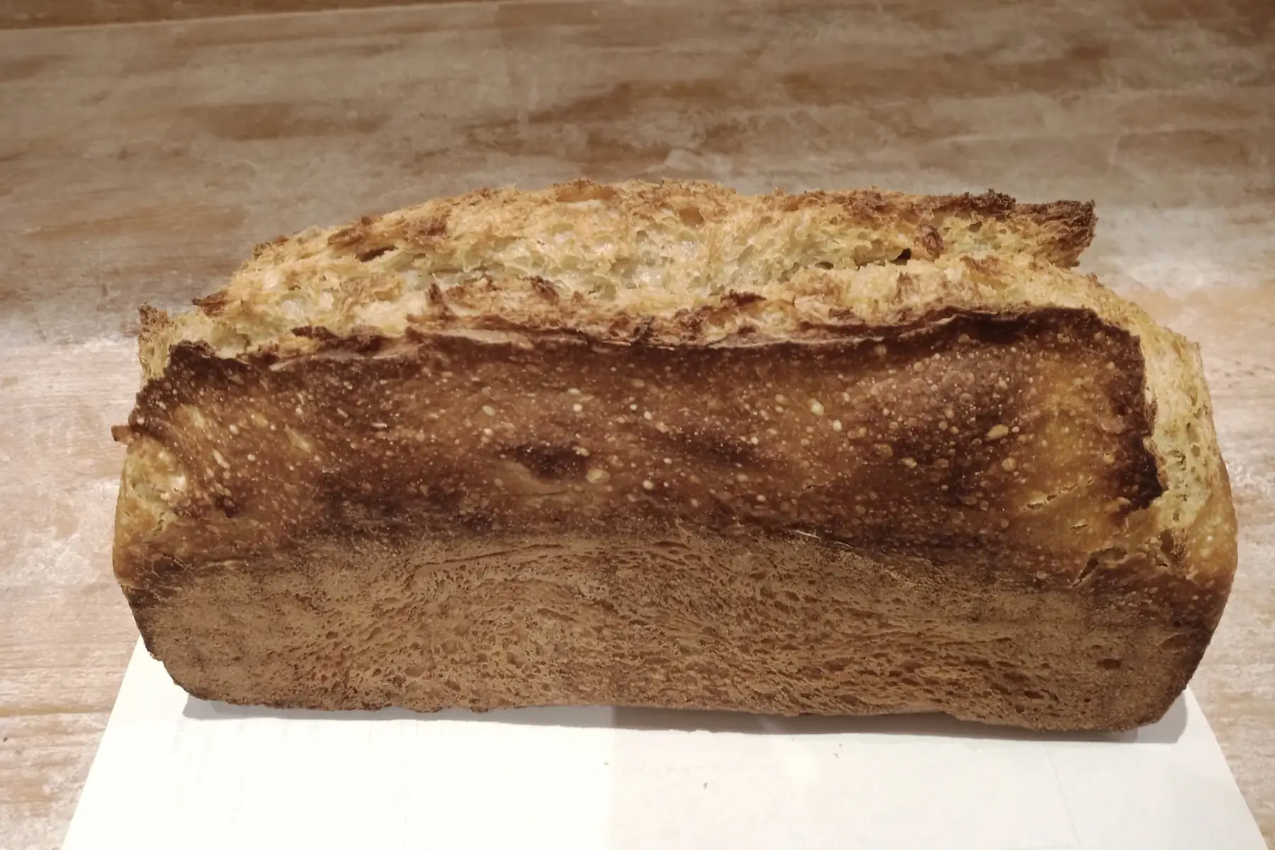 Pain au levain semi-complet moulé