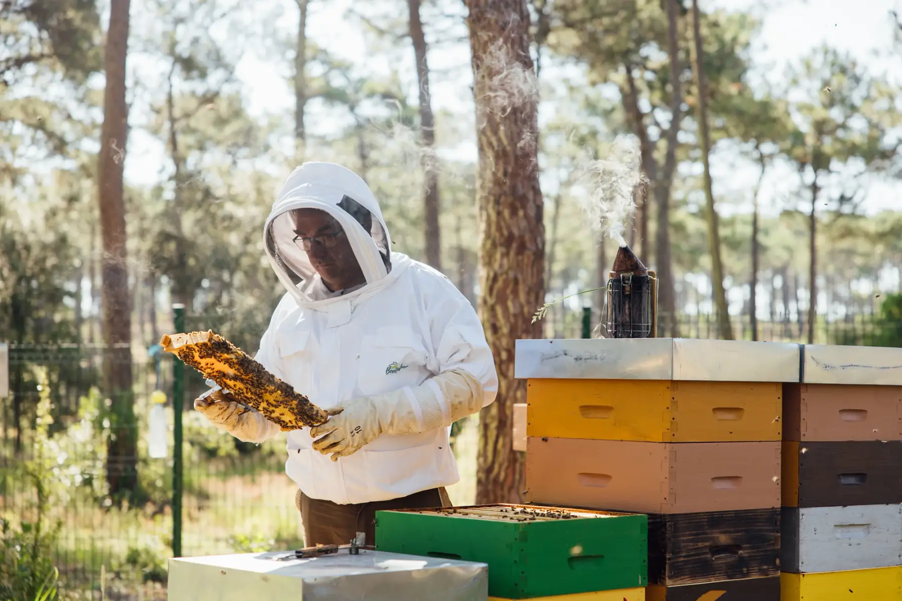 MIEL "UNE VIE DE LABEUR" EI DRUESNES CHRISTOPHE
