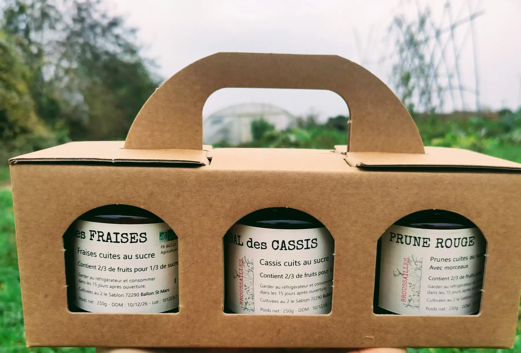 Trio de confiture en pot de 250g