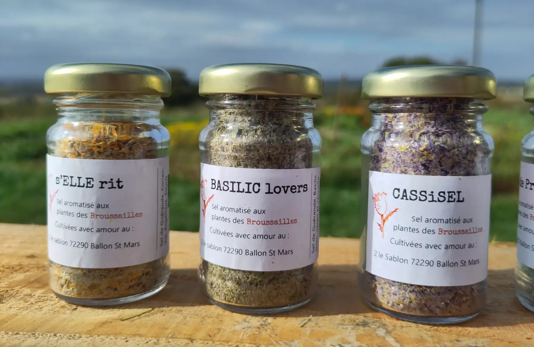 Sel aromatisé - TRIO