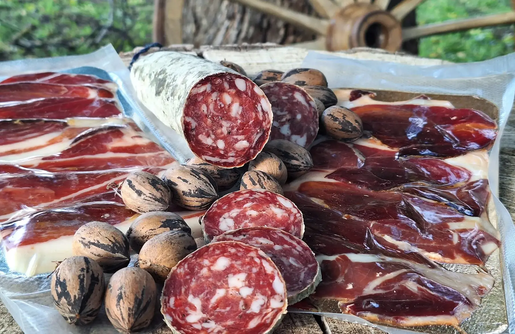 Coppa