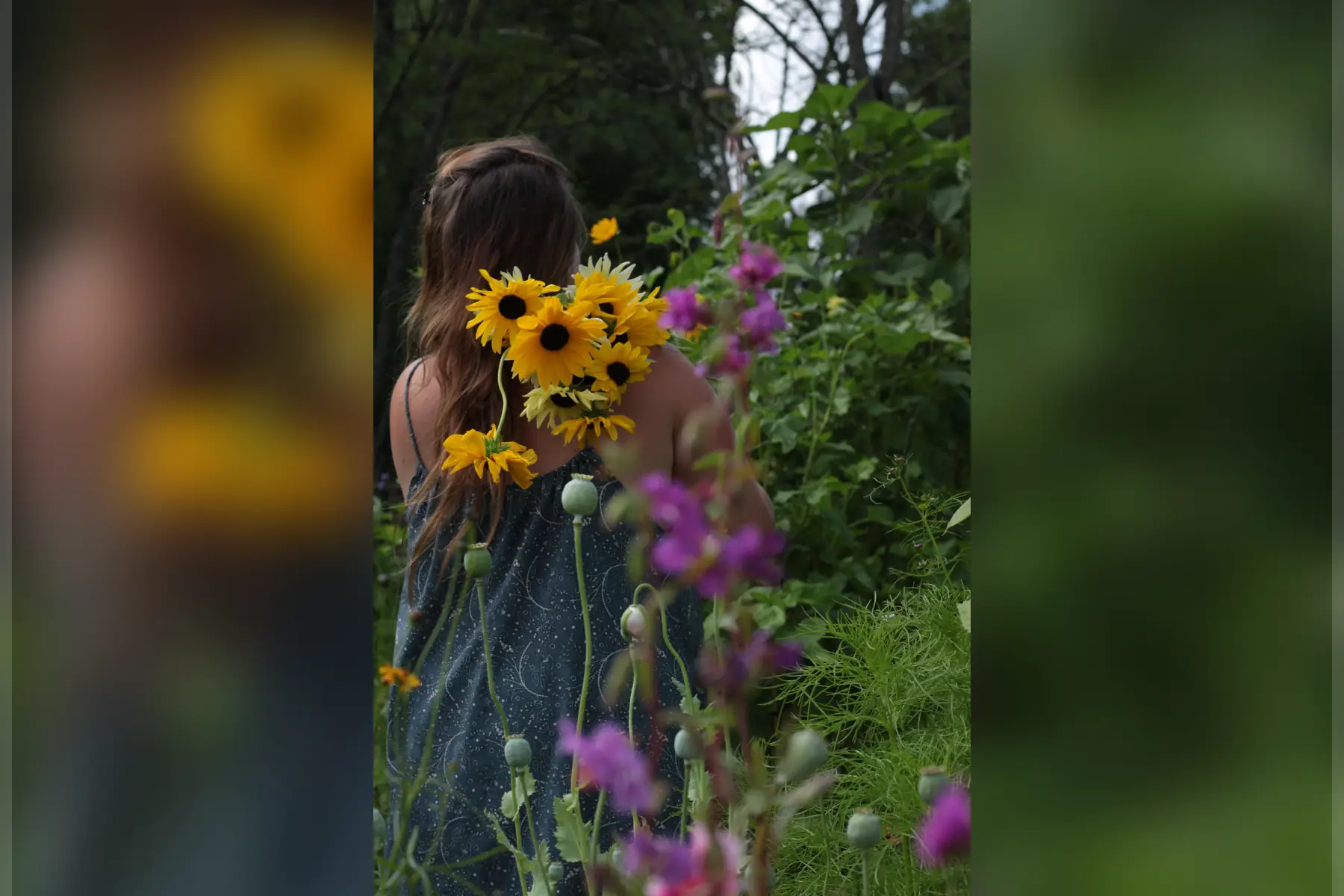 Ferme florale de la Rivière