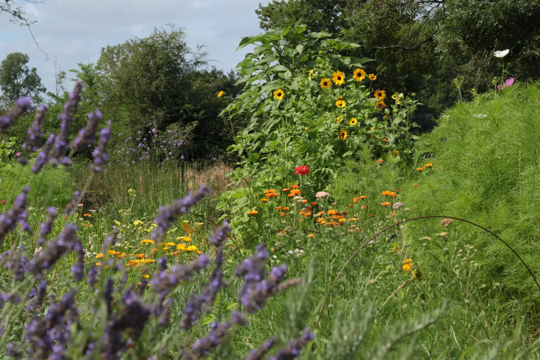 Ferme florale de la Rivière